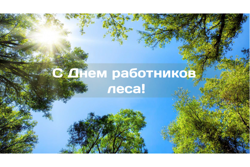  Поздравляем с Днем работников леса!  