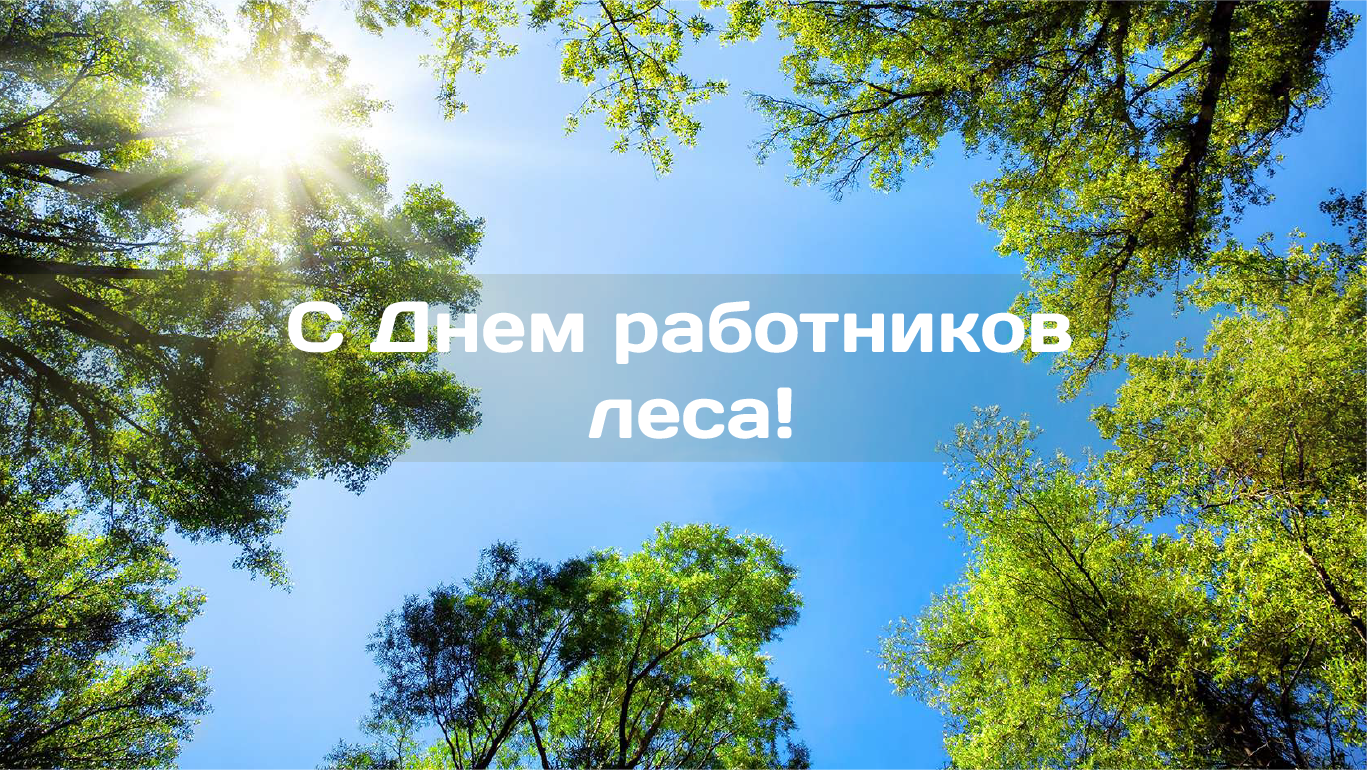 Поздравляем с Днем работников леса!  